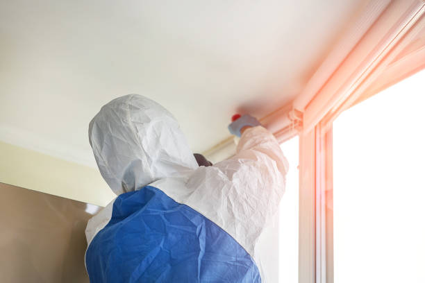 Why You Should Choose Our Mold Remediation Services in Bridgeport, TX